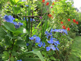 jardin-et-objets-des-panrees-cornimont-3