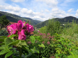 jardin-et-objets-des-panrees-cornimont-4