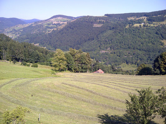 ferme-des-alisiers-la-bresse-1