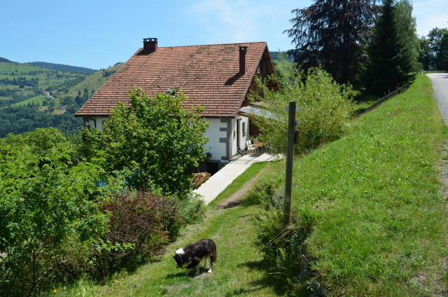 ferme-du-vieux-sapin-holtzer-la-bresse-1
