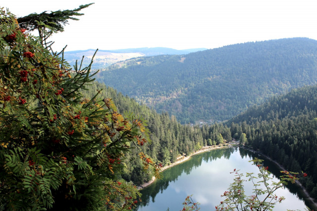 trail-roche-du-lac-office-la-bresse-1