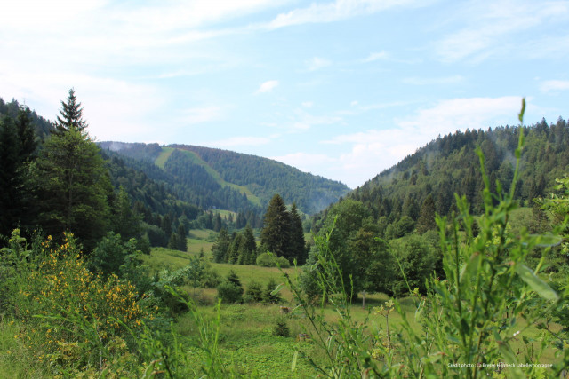 balade-pedestre-thiaville-la-bresse-1