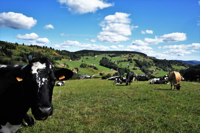 balade-3-cols-basse-sur-le-rupt-1