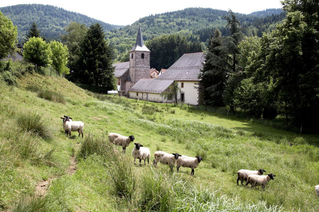 balade-beau-sapin-rochesson-1