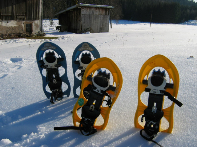 circuits-raquettes-la-bresse