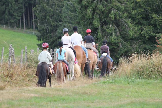 Crins-des-vosges-monitrice-equestre-la-bresse-1