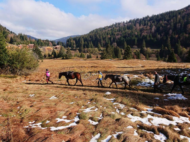 crins-des-vosges-balades-a-cheval-et-poney-luge-la-bresse-1