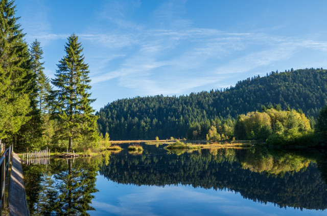 lac-lispach-la-bresse-1