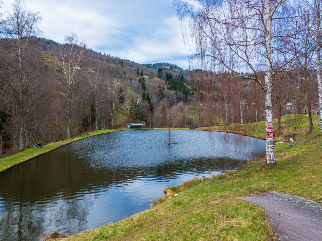 etang-du-faing-cornimont-1