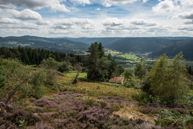 chevre-roche-site-naturel-vagney-3