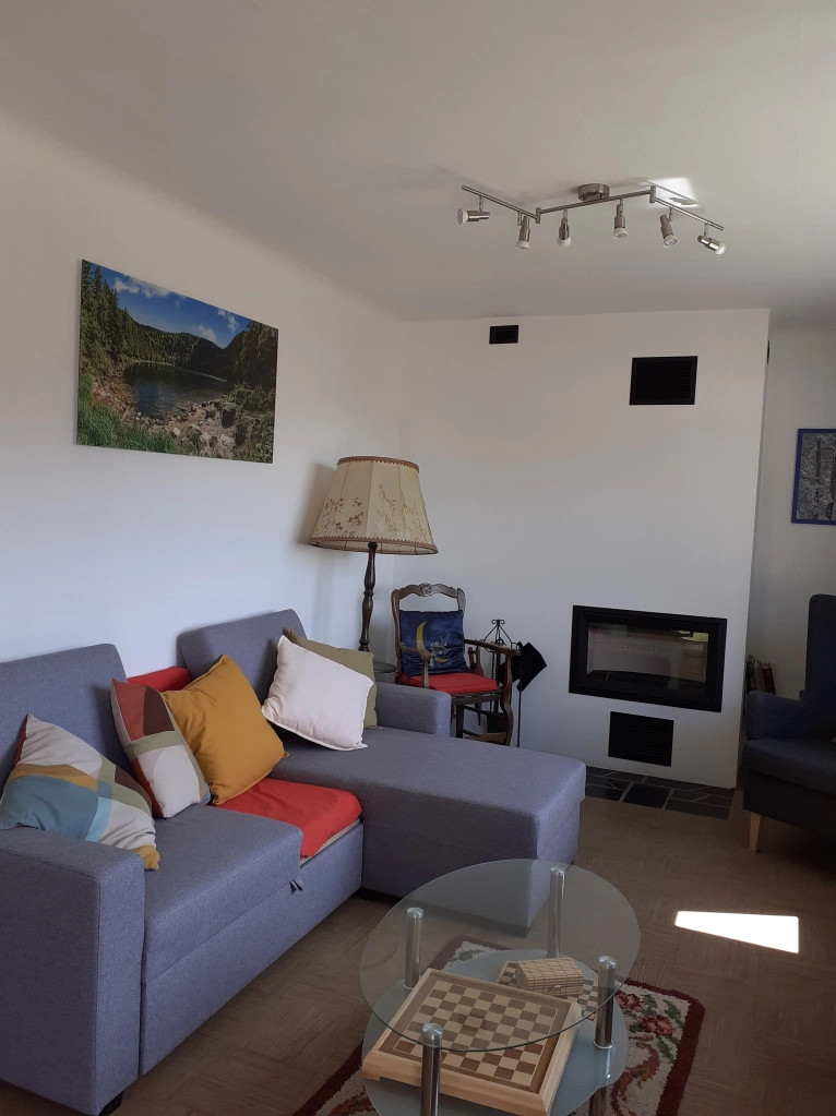 appartement 11 personnes 95m² La Maison d'Alice - La Bresse Hautes Vosges