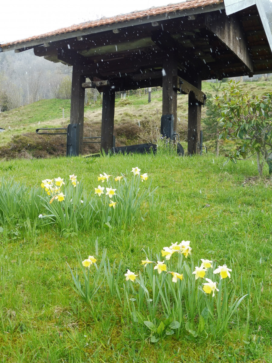 Appartement 5 personnes - La Linaigrette - La Bresse Hautes Vosges
