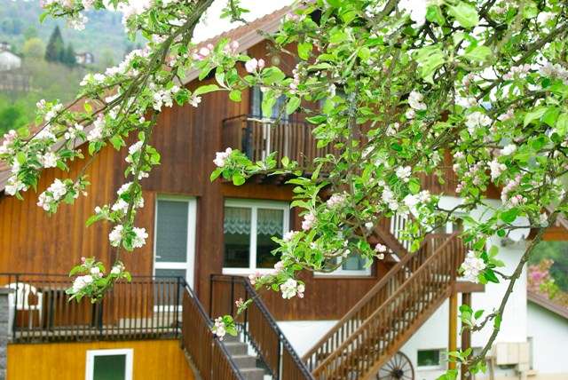 Appartement LP012 La Bresse