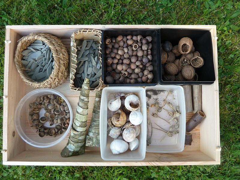 Atelier Musique Verte - Sens à Sons Nature - Sapois - La Bresse Hautes Vosges