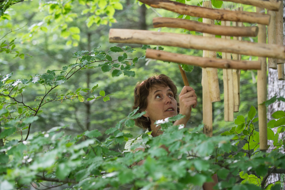 Atelier Musique Verte - Sens à Sons Nature - Sapois - La Bresse Hautes Vosges