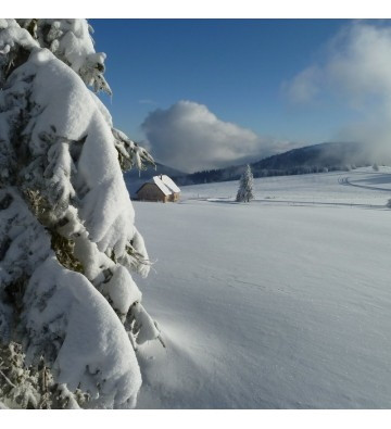 Balade en raquettes à neige au col de la Schlucht - Destination Sport Nature