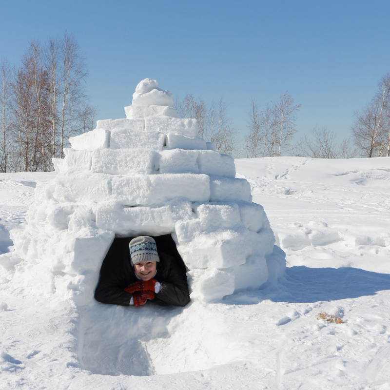 Balade raquettes à neige avec construction d'igloo - Destination Sport Nature - La Bresse Hautes Vosges