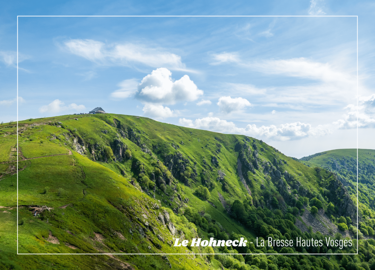 Carte postale La Bresse Hautes Vosges-Le Hohneck en été
