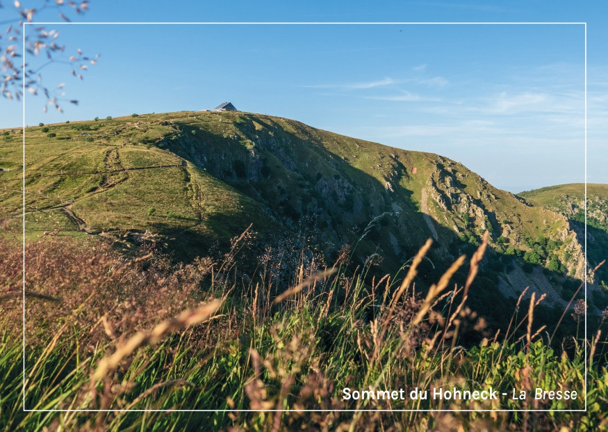 Carte postale La Bresse Hautes Vosges-Le Hohneck en été OTCLBHV G Bervard