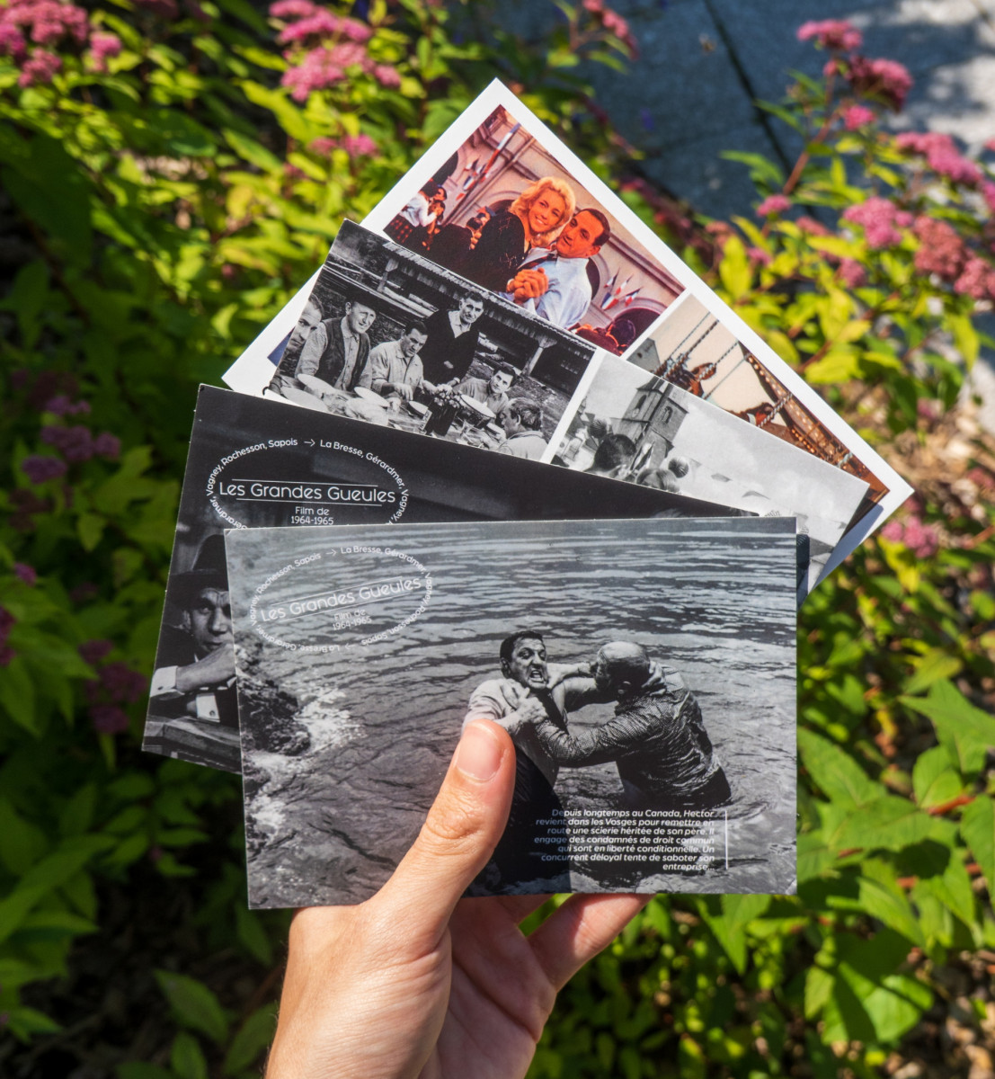 Cartes postales Les Grandes gueules Vagney Hautes Vosges
