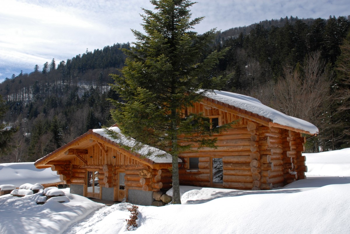 Chalet Brimbelles Le Couaroge La Bresse