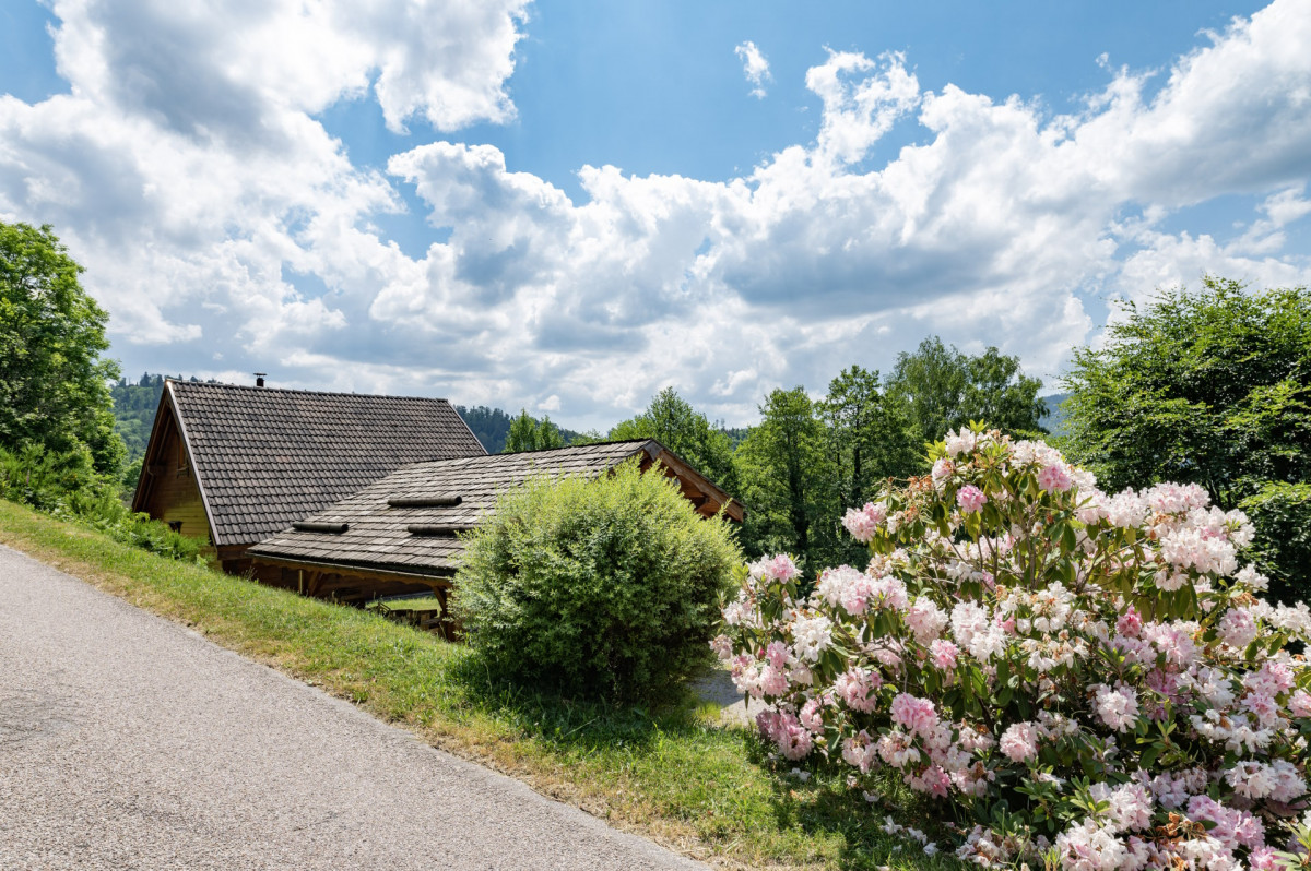 chalet-d-hannopr-thi-fosse-hautes-vosges-nicolas-kintzler-1-redim-555770