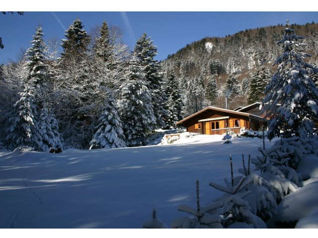 Chalet LB016 La Bresse