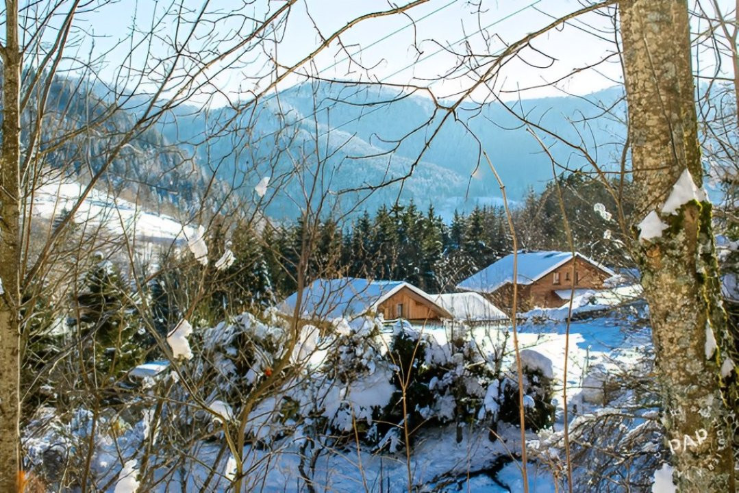 Chalet le bouquetin - 12 personnes - La Bresse Hautes Vosges - Ventron - parc animalier - cerf