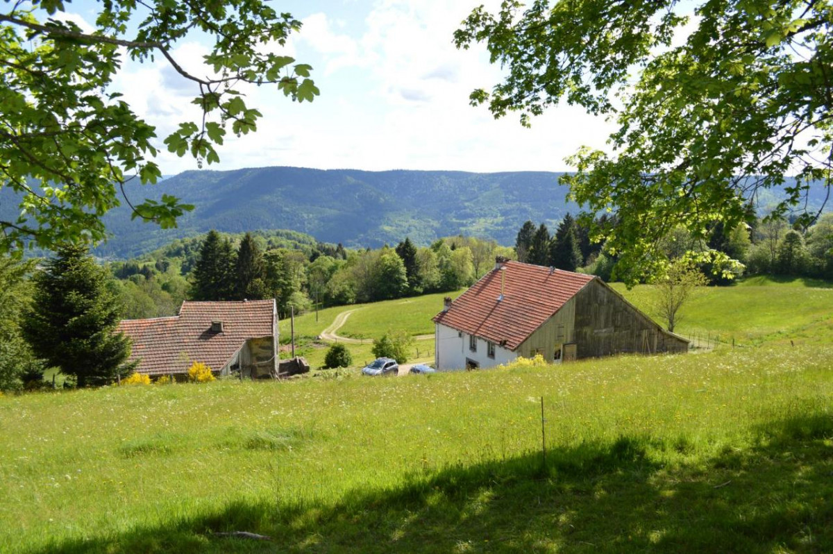 FERME 14 Personnes - Gîte de Viaux Fontaine - Saulxures La Bresse Hautes Vosges