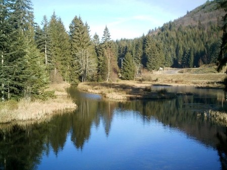 Lac de Lispach La Bresse Hautes-Vosges