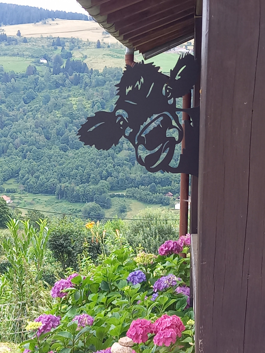 Maison 10 personnes La Marcairie La Bresse Hautes Vosges