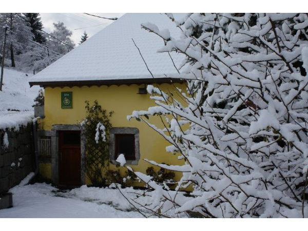 Maison LC032 La Bresse