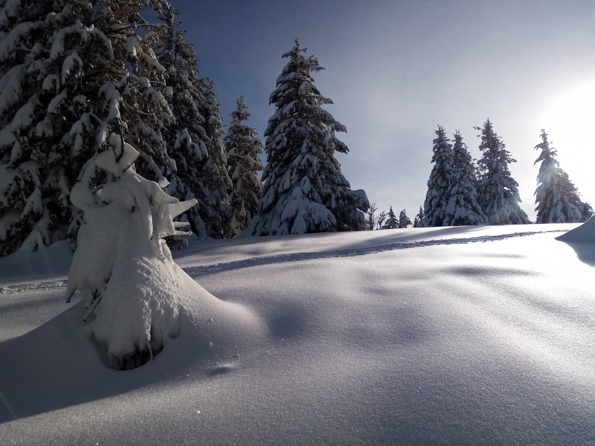 payasage-de-neige-2-bmhv-503321