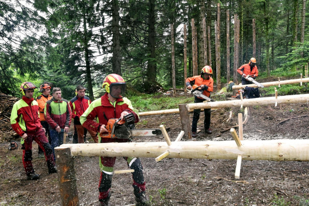 la-fete-du-bois-sapois-2