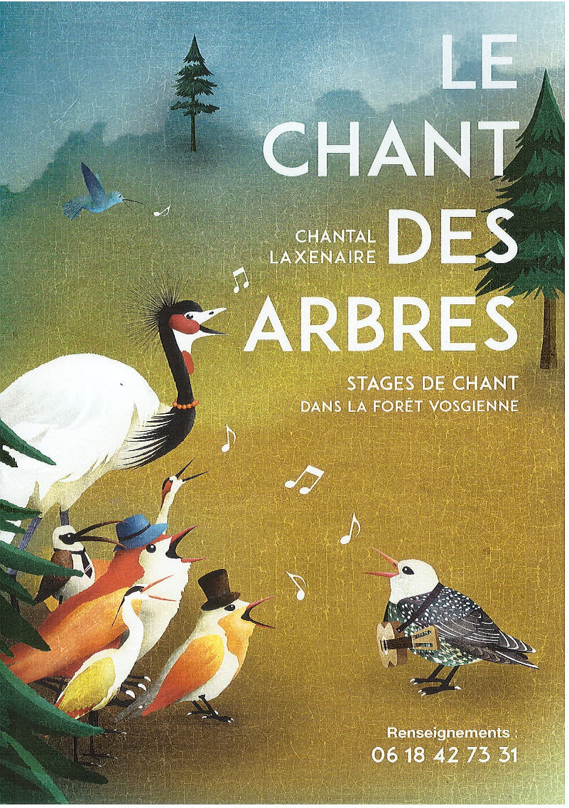 concert-vagney-1