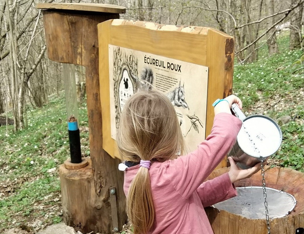 Sentier Péda Ludique - Chasse au trésor avec Gambaladons La Bresse Hautes-Vosges