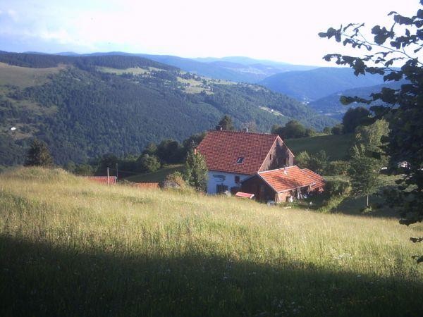 Appartement 5 personnes La Moselotte La Bresse Hautes Vosges