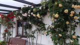 2eme terrasse à l'arrière - Appartement 2 à 4 personnes - 60m² - Les Rosiers - Saulxures sur Moselotte Hautes-Vosges