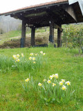 Appartement 5 personnes - La Linaigrette - La Bresse Hautes Vosges