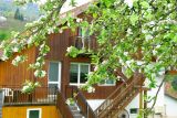 Appartement LP012 La Bresse