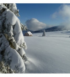 Balade en raquettes à neige au col de la Schlucht - Destination Sport Nature