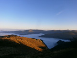 balade-observation-des-chamois-avec-pierre-mengin-la-bresse-hautes-vosges-462982-546297