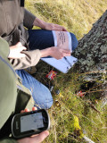 Bureau Montagne Hautes Vosges - Geocache en Famille - La Bresse Hautes-Vosges