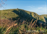 Carte postale La Bresse Hautes Vosges-Le Hohneck en été OTCLBHV G Bervard