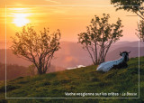 Cartes Postales La Bresse Hautes Vosges OTCLBHV G Bervard