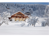 Chalet 12 personnes - La Bresse Hautes Vosges - La fuste des écureuils - Basse sur le rupt