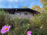 Chalet 4 personnes - L'orée du Phény - La Bresse Hautes Vosges - Sapois