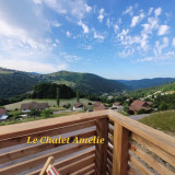 Chalet Amélie - Cosy et Vue Panoramique - La Bresse Hautes Vosges - vue-chemin