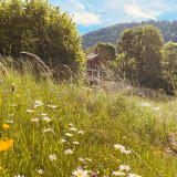 Chalet l'eldorado 15 personnes La Bresse Hautes Vosges