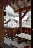 Chalet le bouquetin - 12 personnes - La Bresse Hautes Vosges - Ventron - parc animalier - cerf